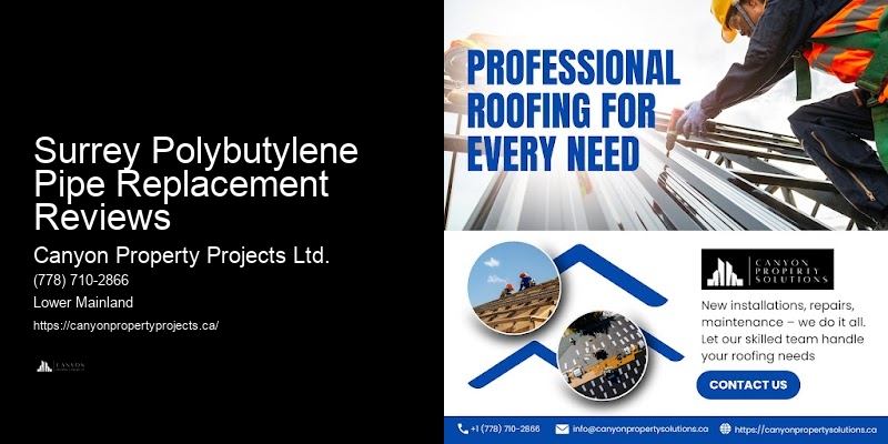 Polybutylene Pipe Assessment Surrey Polybutylene Pipe Replacement Reviews