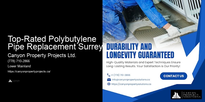 Comprehensive Polybutylene Pipe Services Top-Rated Polybutylene Pipe Replacement Surrey