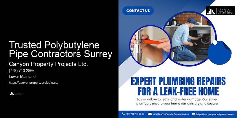 Polybutylene Pipe Replacement and Repair Services in My Area