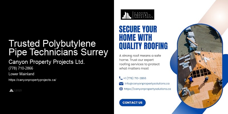 Expert Advice on Polybutylene Plumbing Trusted Polybutylene Pipe Technicians Surrey