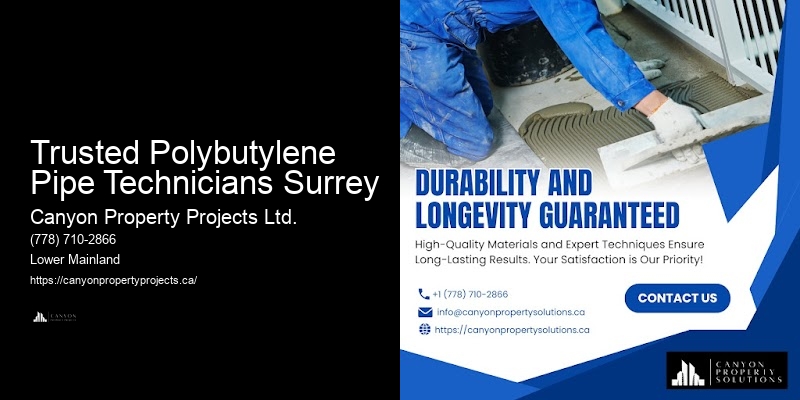 Certified Trusted Polybutylene Pipe Technicians Surrey Polybutylene Replacement Experts