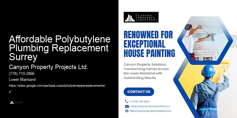 Quality Polybutylene Plumbing Replacement at Competitive Prices