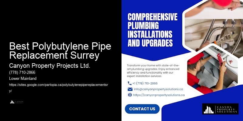Best-Rated Polybutylene Pipe Replacement Contractors Near Me