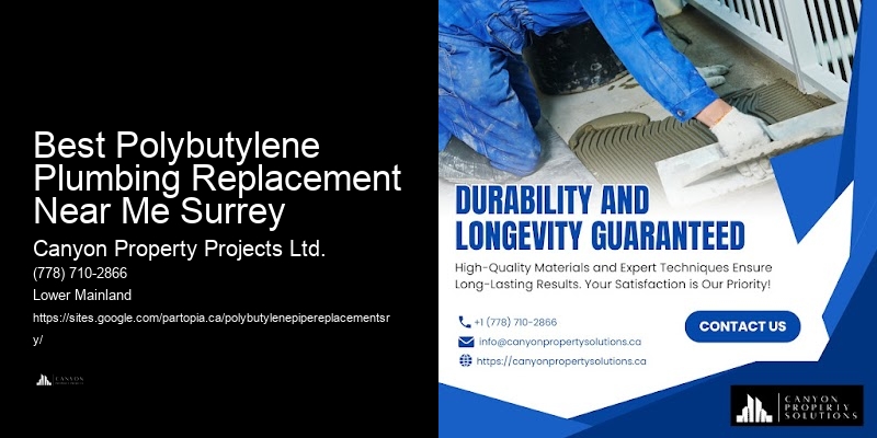 Professional Pipe Replacement for Polybutylene Best Polybutylene Plumbing Replacement Near Me Surrey