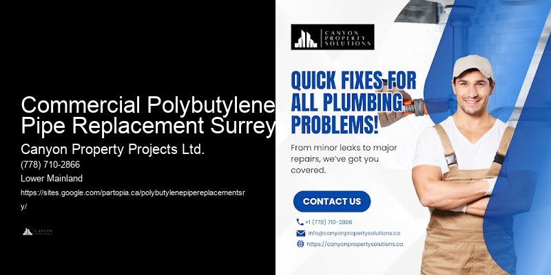 Commercial Polybutylene Pipe Replacement Surrey