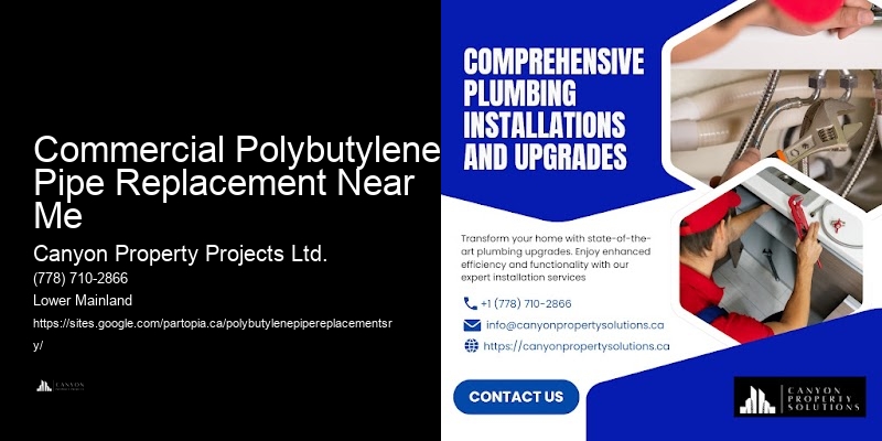 Trusted Experts in Polybutylene Pipe Repair Commercial Polybutylene Pipe Replacement Near Me