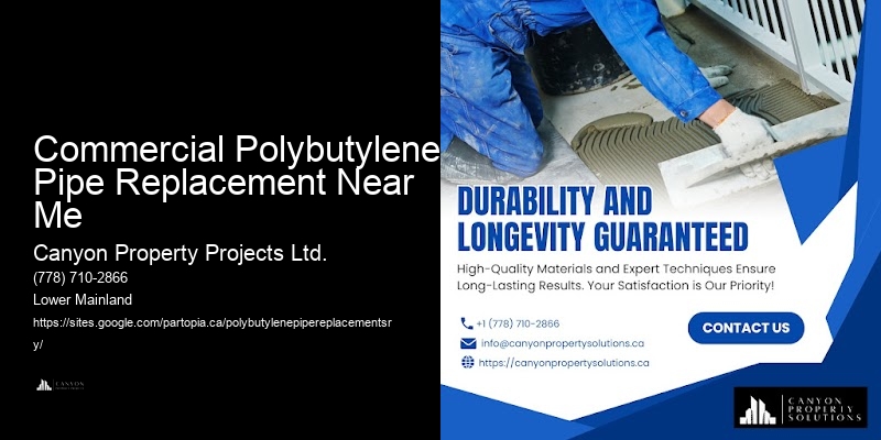 Polybutylene Water Pipe Replacement Commercial Polybutylene Pipe Replacement Near Me