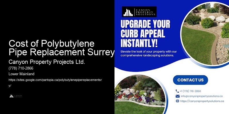 Polybutylene Pipe Repair and Replacement Cost of Polybutylene Pipe Replacement Surrey