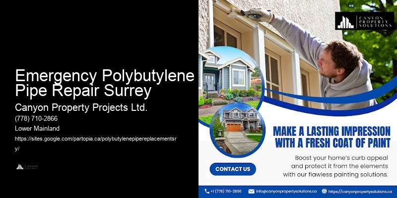 Polybutylene Plumbing Consultations Emergency Polybutylene Pipe Repair Surrey