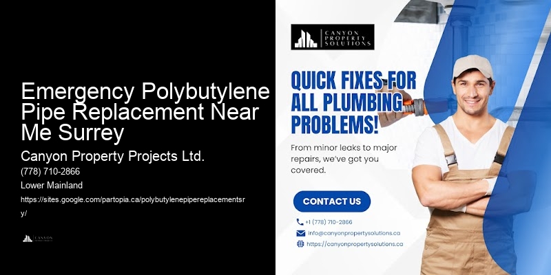 Quality Polybutylene Pipe Replacement Near Me