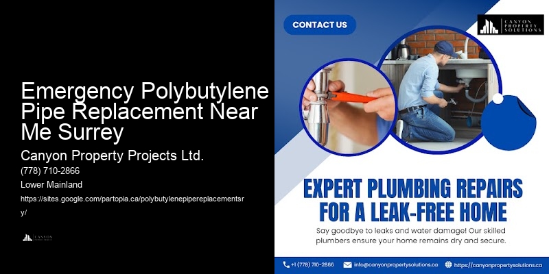 Polybutylene Plumbing Assessment Emergency Polybutylene Pipe Replacement Near Me Surrey