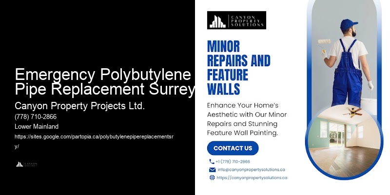 Polybutylene Pipe Analysis Emergency Polybutylene Pipe Replacement Surrey