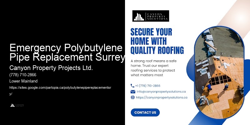 Polybutylene Replacement for New Homeowners Emergency Polybutylene Pipe Replacement Surrey