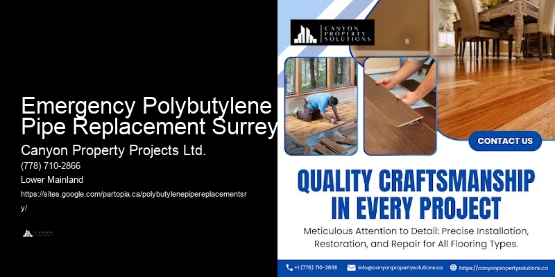 Polybutylene Plumbing Evaluation Emergency Polybutylene Pipe Replacement Surrey