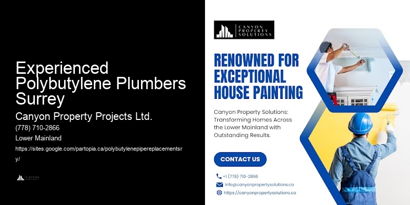 Polybutylene Pipe Replacement Process Experienced Polybutylene Plumbers Surrey