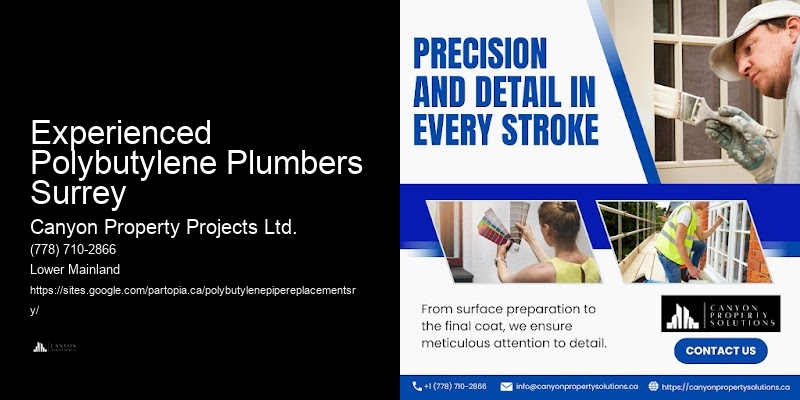 Polybutylene Pipe Safety Inspections Experienced Polybutylene Plumbers Surrey