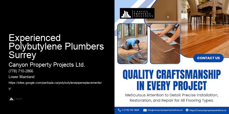 Polybutylene Pipe Replacement Services Experienced Polybutylene Plumbers Surrey