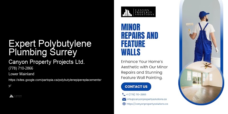 High-Rated Polybutylene Pipe Replacement Expert Polybutylene Plumbing Surrey