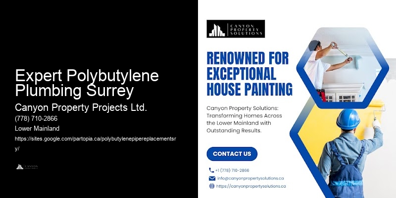 Polybutylene Pipe Removal And Installation Expert Polybutylene Plumbing Surrey