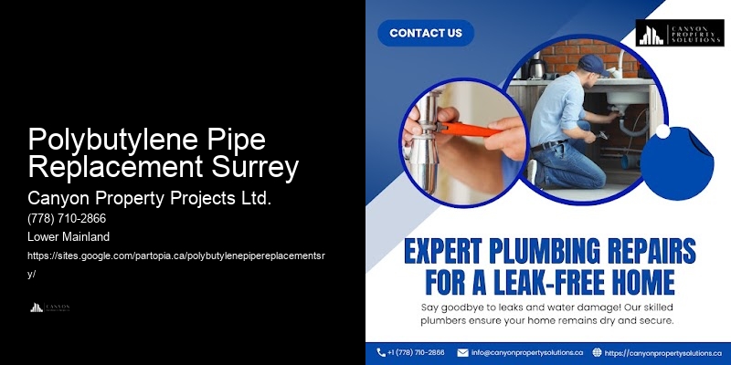Polybutylene Pipe Replacement Surrey Polybutylene Plumbing Repair Services