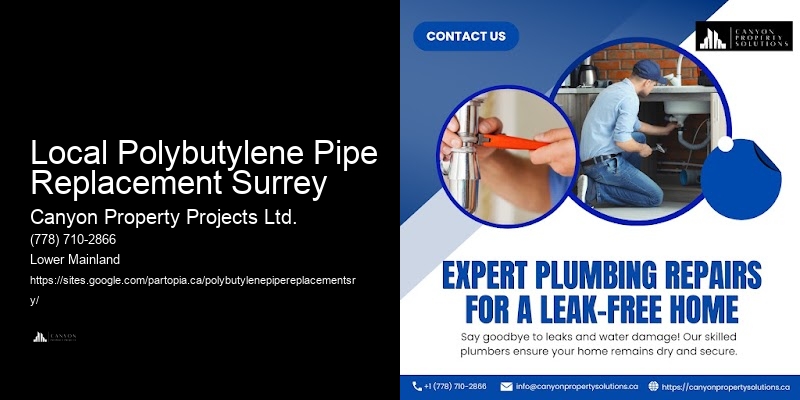 Detailed Polybutylene Pipe Replacement Local Polybutylene Pipe Replacement Surrey