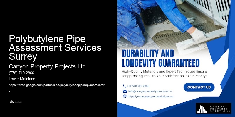 Affordable Polybutylene Pipe Replacement Polybutylene Pipe Assessment Services Surrey