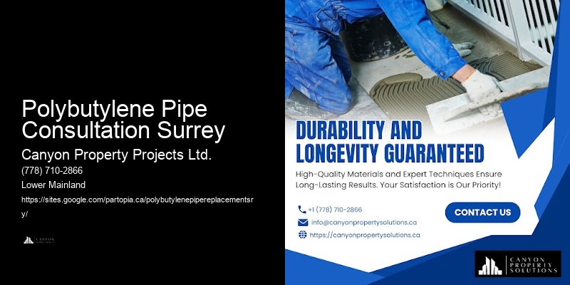 Local Specialists for Polybutylene Pipe Replacement in Polybutylene Pipe Consultation Surrey