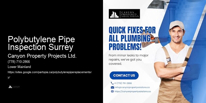 Polybutylene Pipe Inspection Surrey