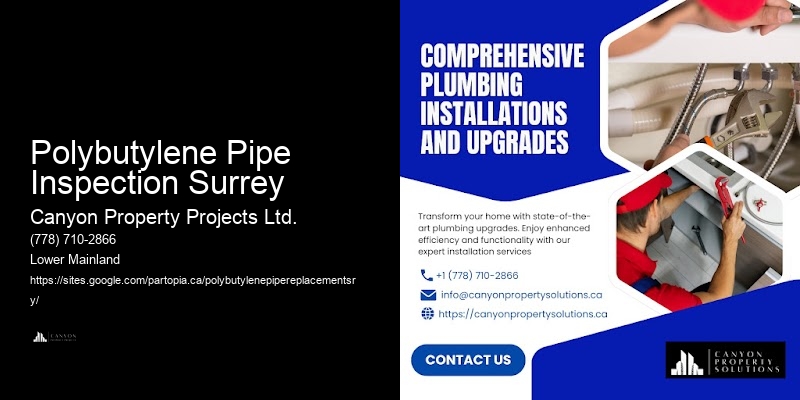 Replace Outdated Polybutylene Pipes Polybutylene Pipe Inspection Surrey