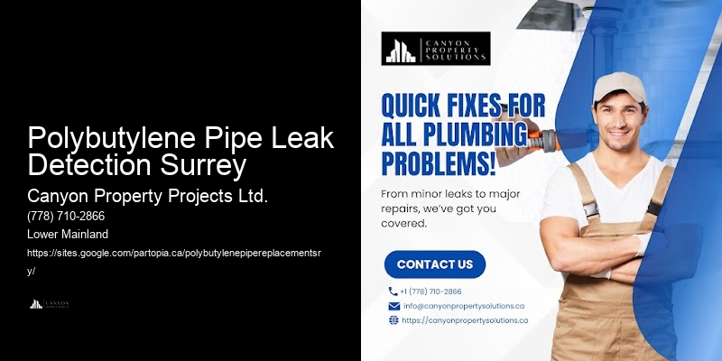 Guaranteed Leak-Free Polybutylene Replacement Polybutylene Pipe Leak Detection Surrey