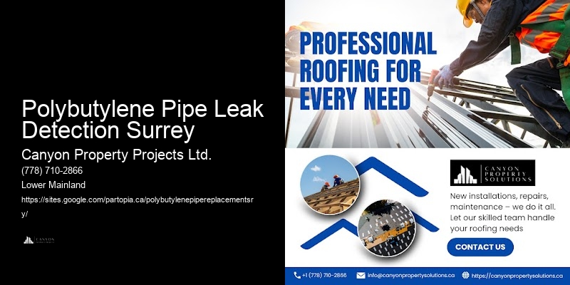 Replacing Polybutylene Pipes in Apartments Polybutylene Pipe Leak Detection Surrey