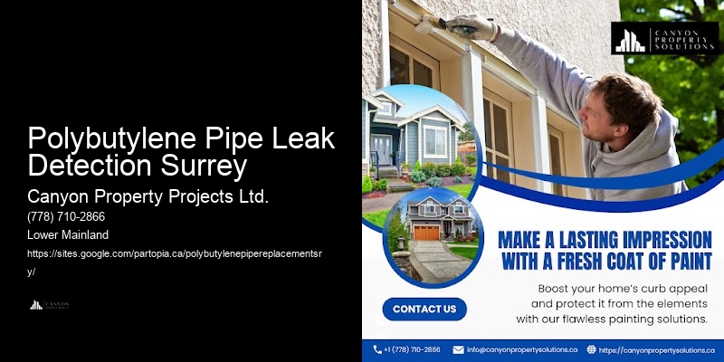 Polybutylene Pipe Risk Assessment Polybutylene Pipe Leak Detection Surrey