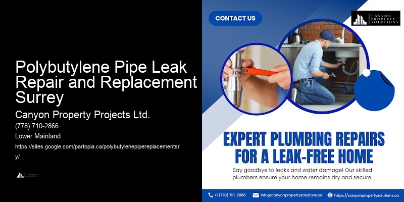Polybutylene Water System Replacement Polybutylene Pipe Leak Repair and Replacement Surrey