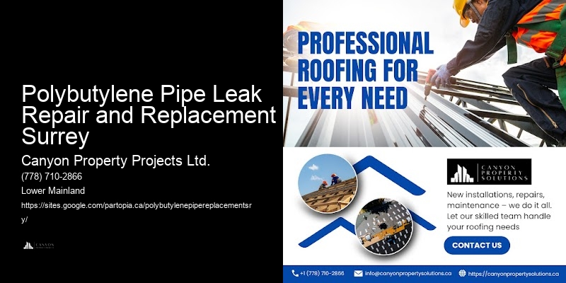 Local Polybutylene Pipe Replacement Polybutylene Pipe Leak Repair and Replacement Surrey