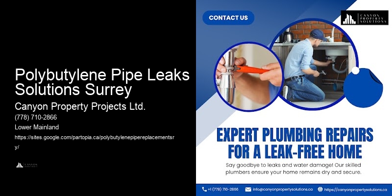 Polybutylene Pipe Project Estimates Polybutylene Pipe Leaks Solutions Surrey