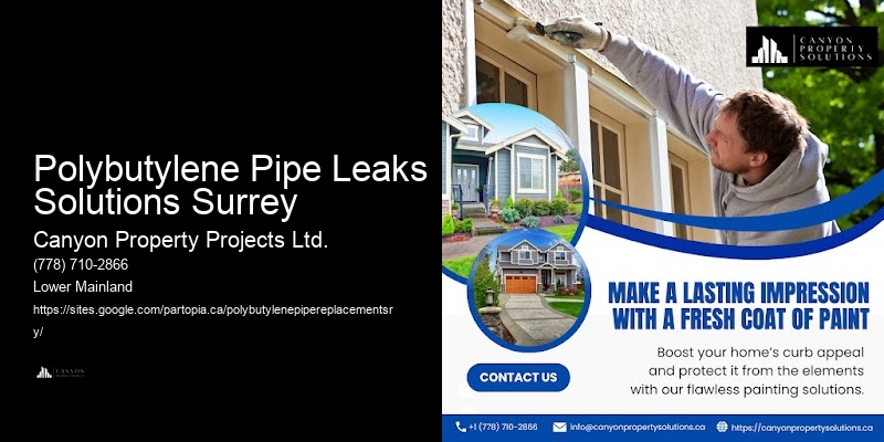 Polybutylene Plumbing Project Polybutylene Pipe Leaks Solutions Surrey