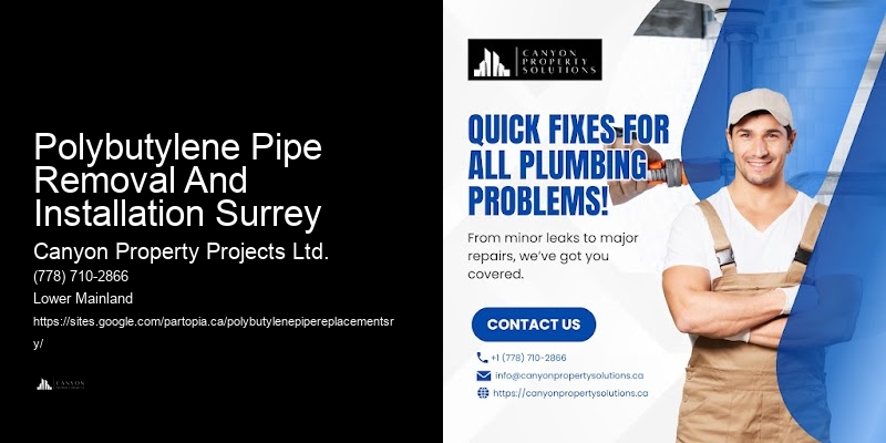 Polybutylene Pipe Removal And Installation Surrey