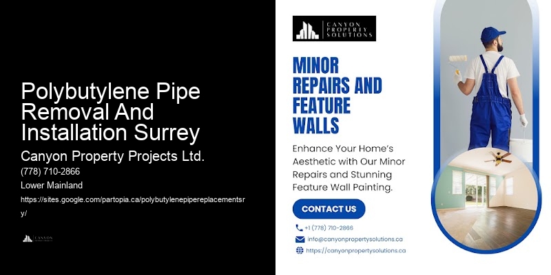 Polybutylene Plumbing Service Packages Polybutylene Pipe Removal And Installation Surrey