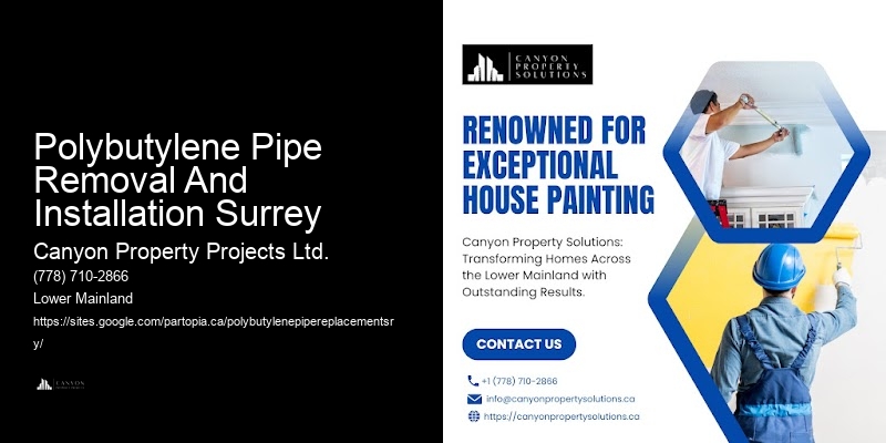 Polybutylene Plumbing Replacement Services Polybutylene Pipe Removal And Installation Surrey