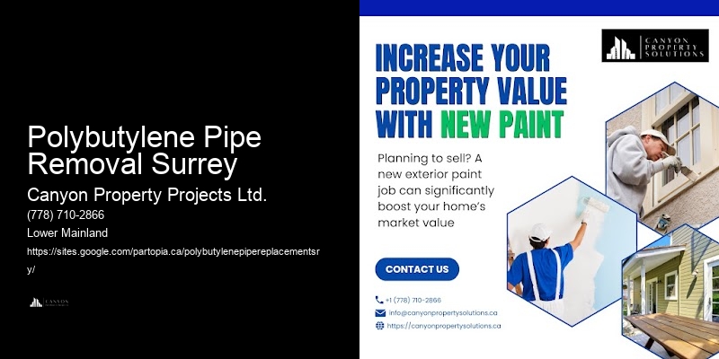 Comprehensive Pipe Replacement for Polybutylene Polybutylene Pipe Removal Surrey