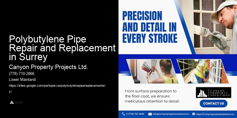 Best Polybutylene Pipe Repair and Replacement in Surrey Plumbers for Polybutylene Pipes