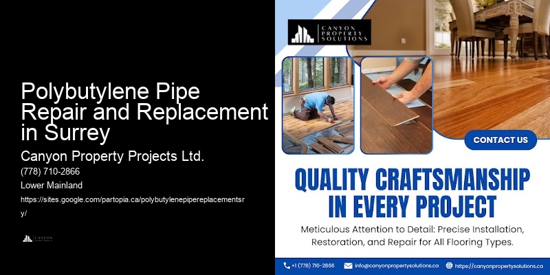 Best Polybutylene Plumbing Replacement Near Me Polybutylene Pipe Repair and Replacement in Surrey