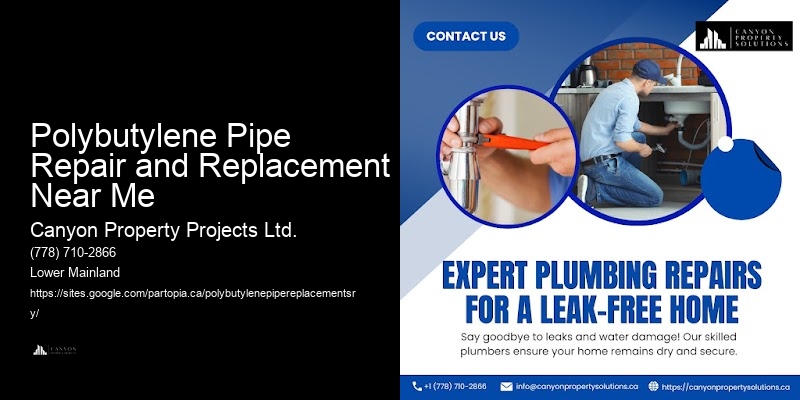 Comprehensive Pipe Replacement for Polybutylene Polybutylene Pipe Repair and Replacement Near Me