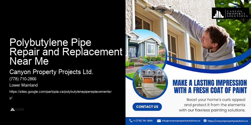 Polybutylene Plumbing Services Polybutylene Pipe Repair and Replacement Near Me
