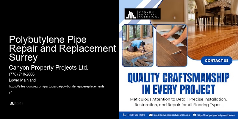 Polybutylene Plumbing Systems Polybutylene Pipe Repair and Replacement Surrey
