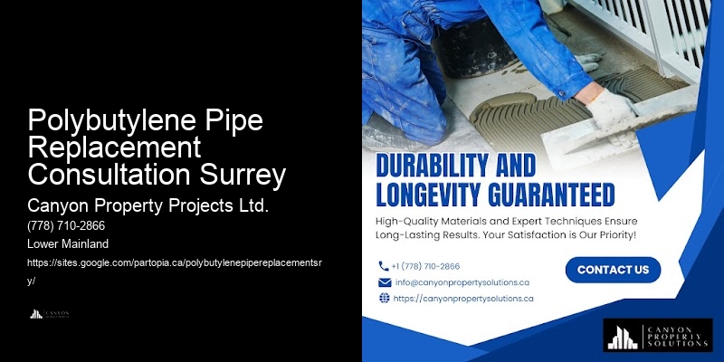 Polybutylene Pipe System Evaluations Polybutylene Pipe Replacement Consultation Surrey