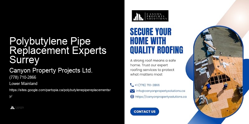 Polybutylene Pipe Preventive Maintenance Polybutylene Pipe Replacement Experts Surrey
