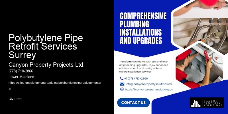 Polybutylene Pipe Leak Repair Polybutylene Pipe Retrofit Services Surrey