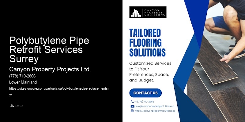 Polybutylene Pipe Inspection Polybutylene Pipe Retrofit Services Surrey