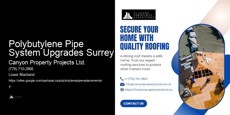 Professional Polybutylene Pipe Services Near Me Polybutylene Pipe System Upgrades Surrey
